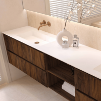 Sani-Dump - wandmeubel-met-gouden-kraan-en-houten-lades