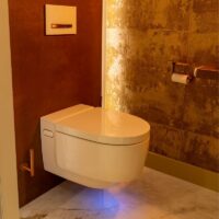 Sani-Dump - toiletruime suite chique sani-dump (1)
